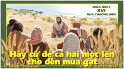 Kiên nhẫn và khoan dung